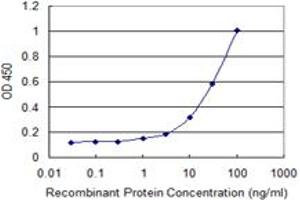 Detection limit for recombinant GST tagged PRDX4 is 0. (Peroxiredoxin 4 antibody  (AA 51-150))