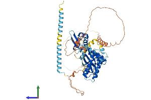 AlphaFold protein structure predicition of Human Recombinant RIOK2 Protein, UniprotID Q9BVS4