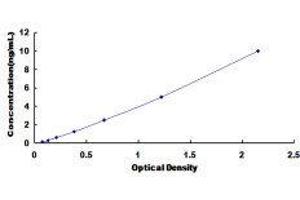 Glutamate-Cysteine Ligase, Modifier Subunit (GCLM) ELISA Kit