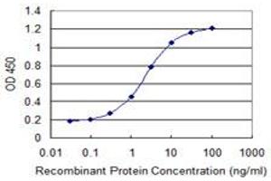 Detection limit for recombinant GST tagged CHRNE is 0. (CHRNE antibody  (AA 21-130))