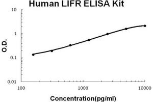 Human LIFR PicoKine ELISA Kit standard curve