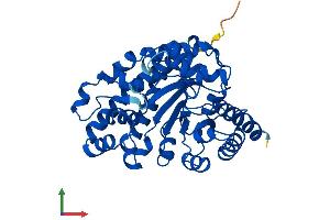 AlphaFold protein structure predicition of Human Recombinant UROD Protein, UniprotID P06132
