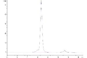 Size-exclusion chromatography-High Pressure Liquid Chromatography (SEC-HPLC) image for Poliovirus Receptor-Related Immunoglobulin Domain Containing (PVRIG) protein (mFc Tag) (ABIN7275506)