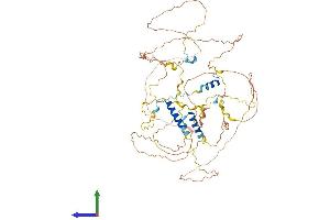 AlphaFold protein structure predicition of Mouse Recombinant Sarg Protein, UniprotID Q8BI29