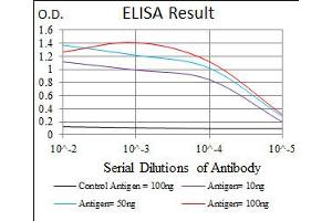 EIF4B antibody