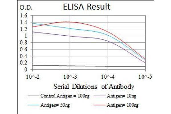 EIF4B antibody