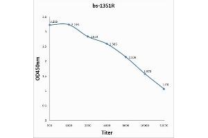 Antigen: 0. (GZMB antibody  (AA 21-130))