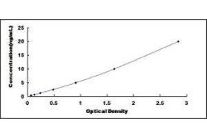 Typical standard curve (ZNRD1 ELISA Kit)