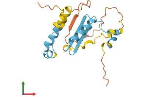 AlphaFold protein structure predicition of Human Recombinant PMS2P3 Protein, UniprotID Q13401 (PMS2P3 Protein (AA 1-168) (His tag))