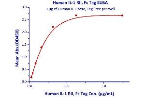 Immobilized Human IL-1 beta, Tag Free  with a linear range of 0. (IL-1 beta Protein (AA 117-269))