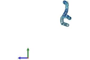 AlphaFold protein structure predicition of Human Recombinant GOSR2 Protein, UniprotID O14653