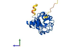 AlphaFold protein structure predicition of Human Recombinant LRRC51 Protein, UniprotID Q96E66 (Leucine Rich Transmembrane and 0-Methyltransferase Domain Containing (LRTOMT) (AA 1-192) protein (His tag))