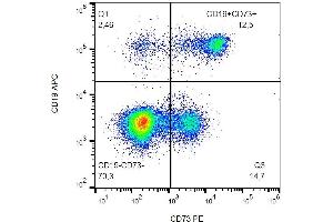 Surface staining (flow cytometry) of human peripheral blood with anti-human CD73 (AD2) PE.