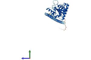 AlphaFold protein structure predicition of Human Recombinant GIMAP5 Protein, UniprotID Q96F15 (GIMAP5 Protein (AA 1-307) (His tag))
