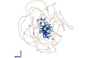 Protein Structure (PS) image for Homeodomain Interacting Protein Kinase 1 (HIPK1) (AA 1-1210) protein (His tag) (ABIN7554084)