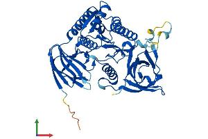 AlphaFold protein structure predicition of Mouse Recombinant Clp1 Protein, UniprotID Q99LI9 (CLP1 Protein (AA 1-425) (His tag))