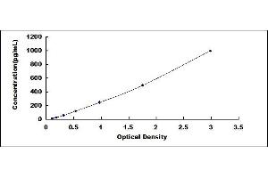 Typical standard curve (CXCL14 ELISA Kit)