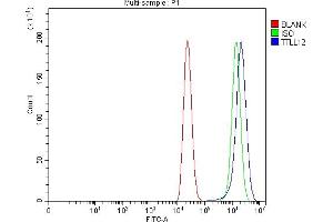 Flow Cytometry analysis of Caco-2 cells using anti-TTLL12 antibody (ABIN7602497). (TTLL12 antibody  (AA 8-634))