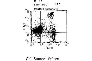 Representative Dot Plot (CD8 antibody  (Biotin))