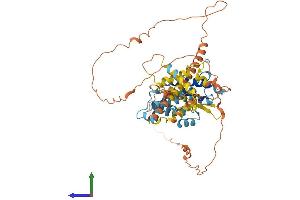 Protein Structure (PS) image for Intestinal Alkaline Phosphatase (ALPI) (AA 1-557) protein (His tag) (ABIN7562740)