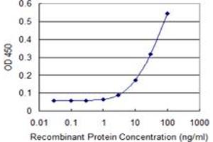 Detection limit for recombinant GST tagged TSC2 is 1 ng/ml as a capture antibody. (Tuberin antibody  (AA 540-658))