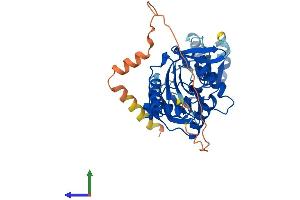 AlphaFold protein structure predicition of Human Recombinant RIMKLB Protein, UniprotID Q9ULI2