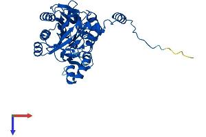 UPB1 Protein (AA 1-393) (His tag)