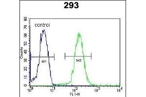 DACT1 Antibody (N-term) (ABIN652102 and ABIN2840549) flow cytometric analysis of 293 cells (right histogram) compared to a negative control cell (left histogram). (DACT1 antibody  (N-Term))