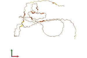 AlphaFold protein structure predicition of Human Recombinant DCANP1 Protein, UniprotID Q8TF63 (Chromosome 5 Open Reading Frame 20 (C5ORF20) (AA 1-244) protein (His tag))