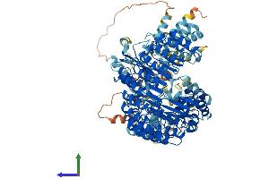 AlphaFold protein structure predicition of Mouse Recombinant Nlrp12 Protein, UniprotID E9Q5R7 (NLRP12 Protein (AA 1-1054) (His tag))