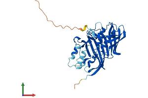 AlphaFold protein structure predicition of Mouse Recombinant Acot8 Protein, UniprotID P58137 (ACOT8 Protein (AA 1-320) (His tag))