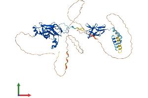 AlphaFold protein structure predicition of Mouse Recombinant Ebf3 Protein, UniprotID O08791