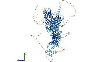 Protein Structure (PS) image for Nuclear Factor of kappa Light Polypeptide Gene Enhancer in B-Cells 2 (NFKB2) (AA 1-900) protein (His tag) (ABIN7554732)