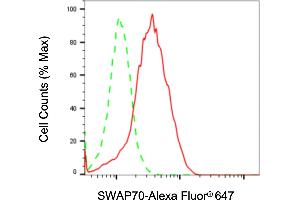 Flow cytometric analysis of SWAP70 expression in Raji cells using SWAP70 antibody (ABIN7800474), 1:2,000).