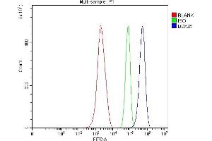 Flow Cytometry analysis of ANA-1 cells using anti-ADAR1/ADAR antibody (ABIN7603211). (DDX3X antibody  (N-Term))