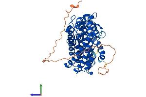 Protein Structure (PS) image for Farnesyl Diphosphate Synthase (FDPS) (AA 1-419) protein (His tag) (ABIN7547733)