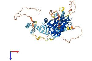 AlphaFold protein structure predicition of Mouse Recombinant Pp2d1 Protein, UniprotID Q8BVT6