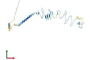 Protein Structure (PS) image for Sarcoglycan, beta (43kDa Dystrophin-Associated Glycoprotein) (SGCB) (AA 1-318) protein (His tag) (ABIN7546014)