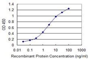 Detection limit for recombinant GST tagged CENPH is 0. (CENPH antibody  (AA 1-247))