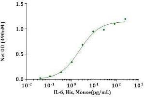 IL-6, Mouse stimulates cell proliferation of 7TD1 cells. (IL-6 Protein (AA 25-211) (His tag))
