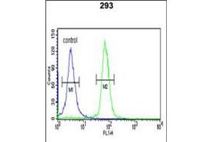 Flow cytometric analysis of 293 cells (right histogram) compared to a negative control cell (left histogram). (STK40 antibody  (C-Term))
