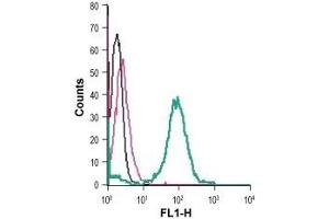 Cell surface detection of EphA6 in live intact human THP-1 monocytic leukemia cells: (black line) Cells. (EPH Receptor A6 antibody  (Extracellular, N-Term))