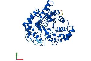 AlphaFold protein structure predicition of Human Recombinant AKR1C3 Protein, UniprotID P42330 (AKR1C3 Protein (AA 1-323) (His tag))