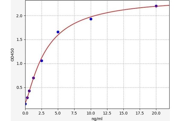 AP2B1 ELISA Kit