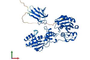AlphaFold protein structure predicition of Mouse Recombinant Pnkp Protein, UniprotID Q9JLV6