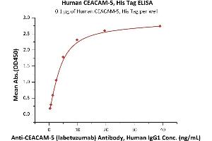 Immobilized Human CEACAM-5, His Tag (ABIN6253201,ABIN6253522) at 1 μg/mL (100 μL/well) can bind AM-5 (labetuzumab) Antibody, Human IgG1 with a linear range of 0. (CEACAM5 Protein (AA 35-685) (His tag))