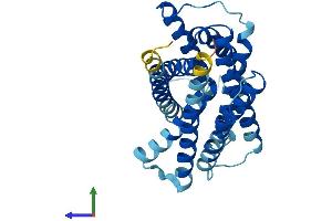 AlphaFold protein structure predicition of Mouse Recombinant Slc35e3 Protein, UniprotID Q6PGC7 (Solute Carrier Family 35, Member E3 (SLC35E3) (AA 1-313) protein (His tag))