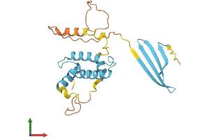 Protein Structure (PS) image for DnaJ (Hsp40) Homolog, Subfamily B, Member 8 (DNAJB8) (AA 1-227) protein (His tag) (ABIN7561792)