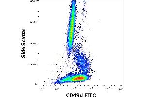 Flow cytometry surface staining pattern of human peripheral whole blood stained using anti-human CD49d (9F10) FITC antibody (4 μL reagent / 100 μL of peripheral whole blood). (ITGA4 antibody  (FITC))