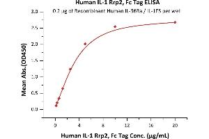 Immobilized Recombinant Human IL-36Ra / IL-1F5 at 2 μg/mL (100 μL/well) can bind Human IL-1 Rrp2, Fc Tag (ABIN6253209,ABIN6253539) with a linear range of 0.